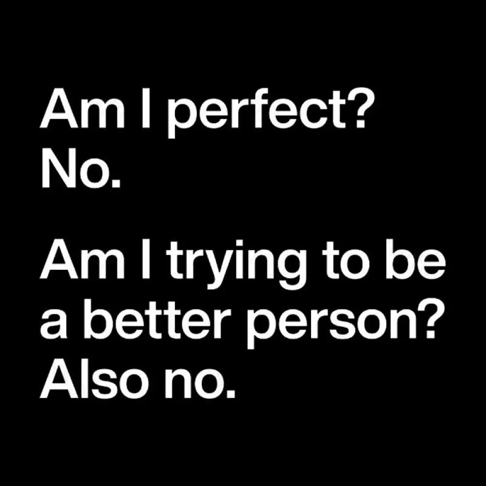 Am I Perfect No Geek T-Shirt