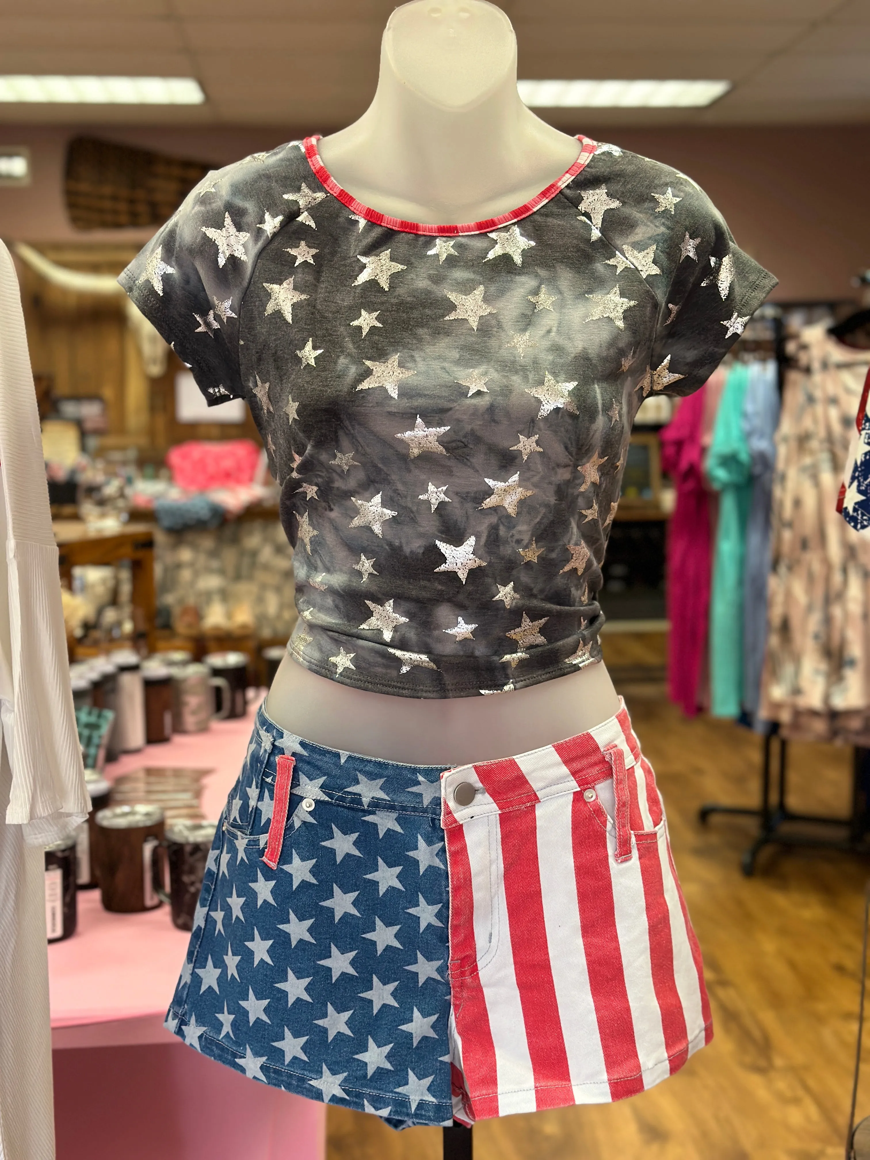 American Flag Print Denim Shorts